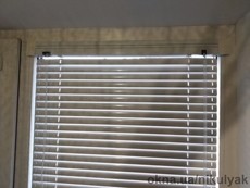 Жалюзи VENUS 25